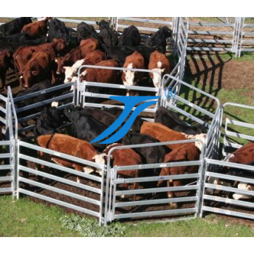 High Quaility Livestock Yards Clôture / vache / cheval / mouton